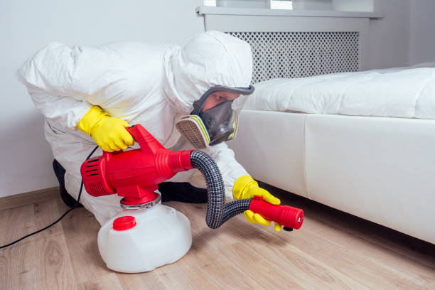 Best Residential Pest Control  in Clifton, NJ